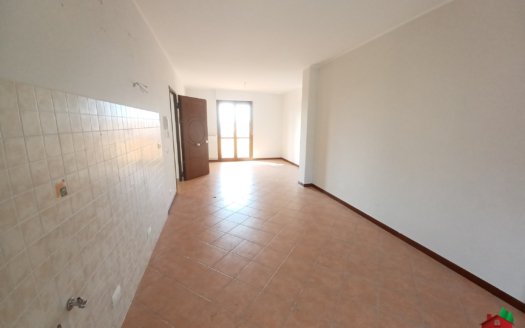 “La Collina degli Ulivi”  Migliano