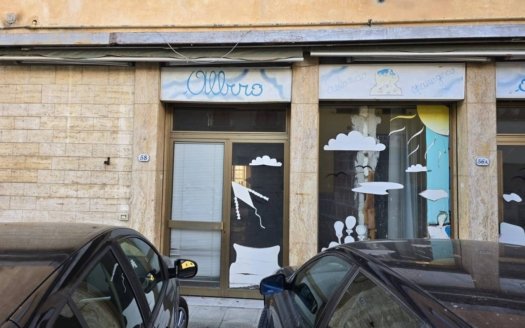 Negozio con magazzino e giardinetto