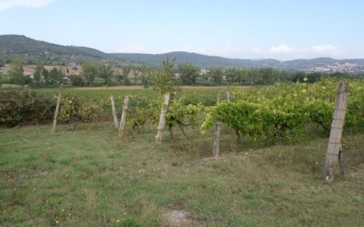 Terreno agricolo 5000 mq in Vendita a Magione