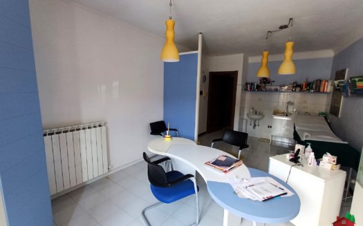 “Il Vecchio Studio”  Papiano