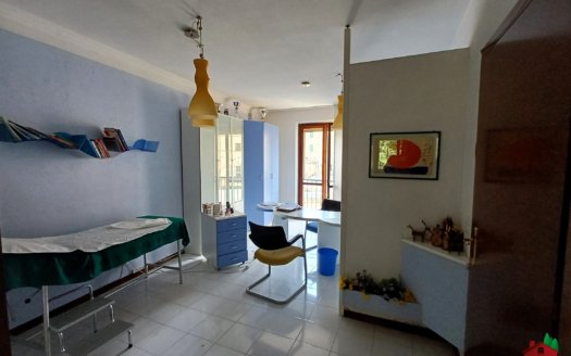 “Il Vecchio Studio”  Papiano