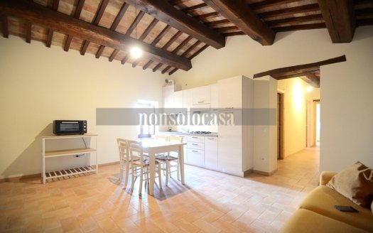 Appartamento Trilocale in Affitto